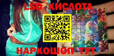 крисы Шелехов