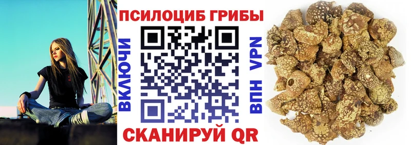 сколько стоит  Новошахтинск  Галлюциногенные грибы Psilocybine cubensis 