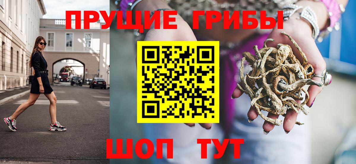 Псилоцибиновые грибы GOLDEN TEACHER Новошахтинск