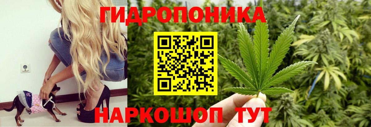 Бошки Шишки MAZAR Новошахтинск